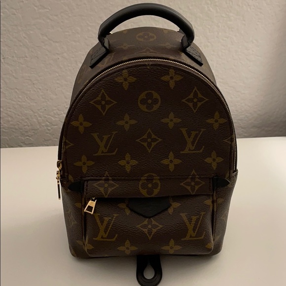 Louis Vuitton Palm Springs Mini - Picture 2 of 8